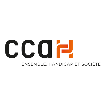 CCAH, Comité national Coordination Action Handicap